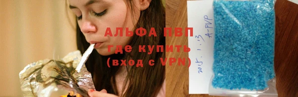 дживик Абаза