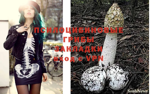 каннабис Алексин