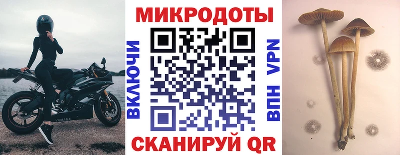 Галлюциногенные грибы Cubensis  darknet как зайти  Тулун 